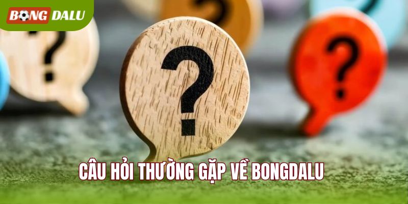Câu hỏi thường gặp về BONGDALU