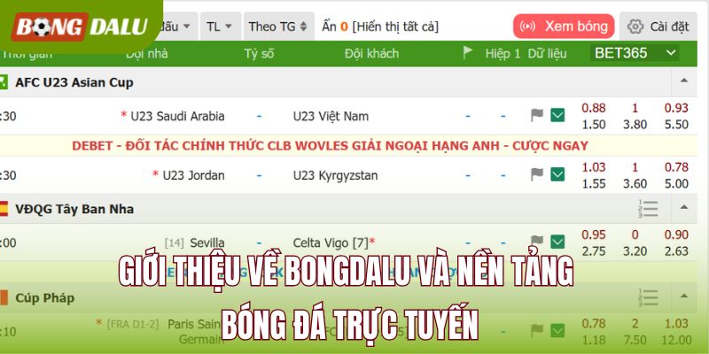 Giới thiệu về BONGDALU và nền tảng bóng đá trực tuyến